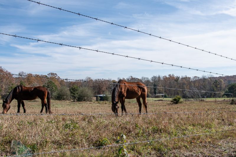 Equine Fence Installation