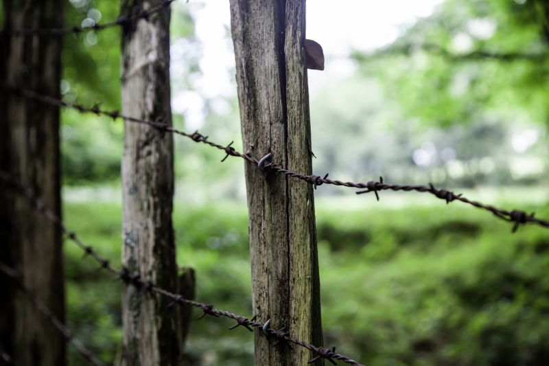 Pasture Fence Repair detail